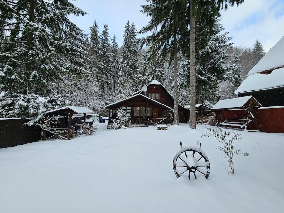 Fabian Kulcsoshaz Villa Izvoare  Dış mekan fotoğraf